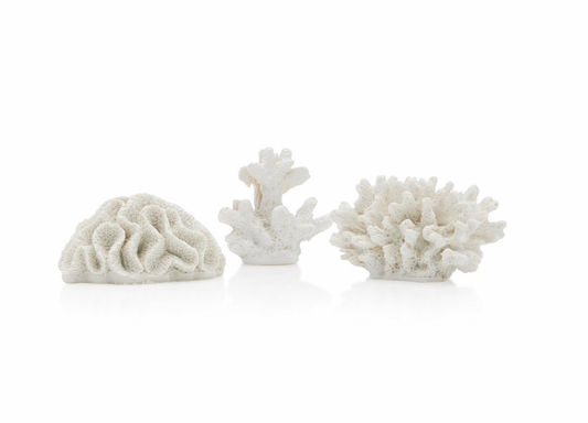 Coral Resin Placecard Holders