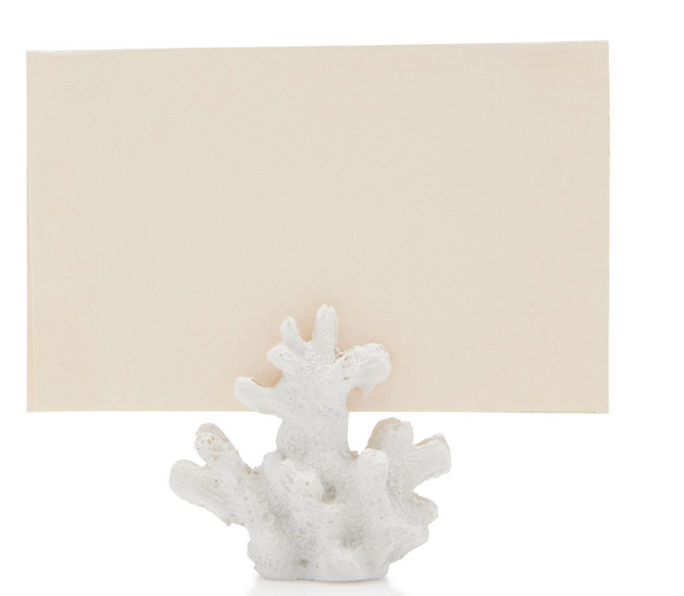 Coral Resin Placecard Holders